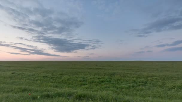 El movimiento de las nubes sobre los campos de trigo de invierno a principios de primavera en las vastas estepas del Don . — Vídeos de Stock
