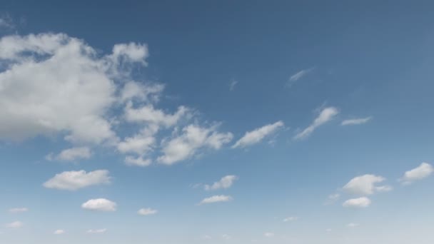 Движение облаков над полями озимой пшеницы ранней весной в обширных степях Дона . — стоковое видео