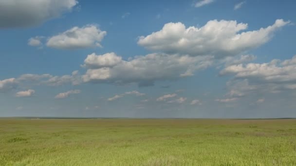 Het verkeer van wolken over de velden van wintertarwe in het vroege voorjaar in de uitgestrekte steppen van de Don. — Stockvideo