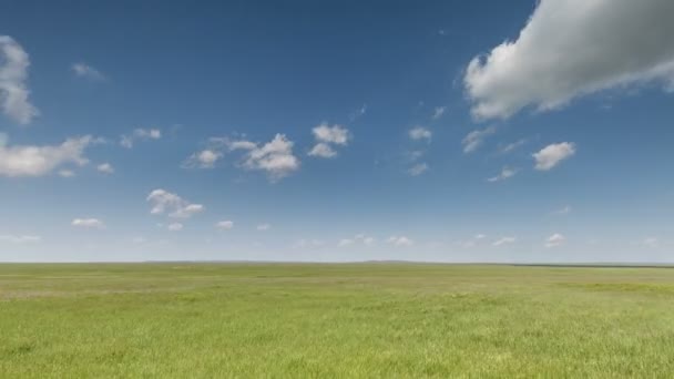 Het verkeer van wolken over de velden van wintertarwe in het vroege voorjaar in de uitgestrekte steppen van de Don. — Stockvideo