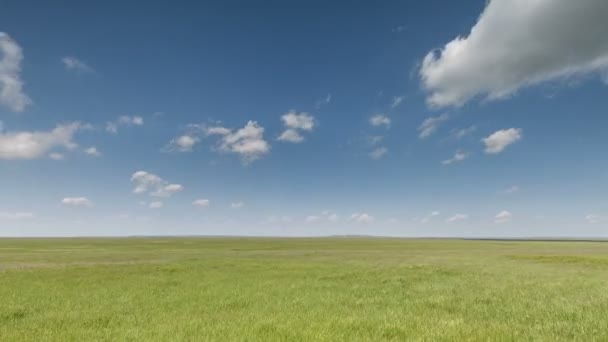 Pohyb mraků nad poli ozimé pšenice v předjaří v rozlehlé stepi Don. — Stock video