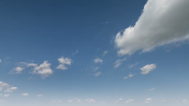 Il movimento delle nuvole sui campi di grano invernale all'inizio della primavera nelle vaste steppe del Don . — Video Stock