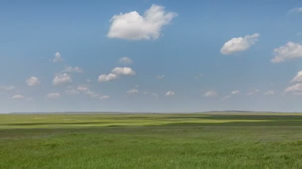 Il movimento delle nuvole sui campi di grano invernale all'inizio della primavera nelle vaste steppe del Don . — Video Stock