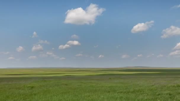Die Bewegung der Wolken über den Winterweizenfeldern im zeitigen Frühling in den weiten Steppen des Don. — Stockvideo