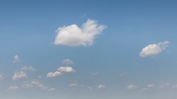 Pohyb mraků nad poli ozimé pšenice v předjaří v rozlehlé stepi Don. — Stock video