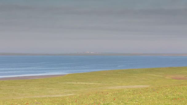 El movimiento de las nubes sobre los campos de trigo de invierno a principios de primavera en las vastas estepas del Don . — Vídeo de stock