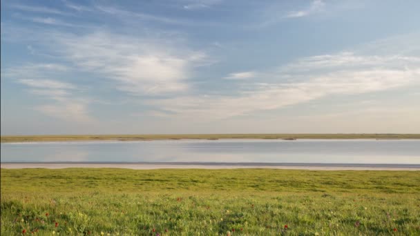 El movimiento de las nubes sobre los campos de trigo de invierno a principios de primavera en las vastas estepas del Don . — Vídeos de Stock