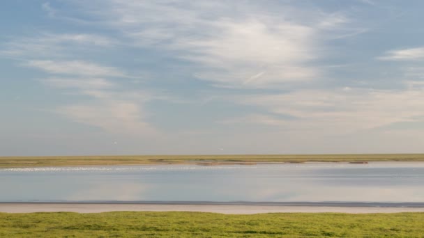 El movimiento de las nubes sobre los campos de trigo de invierno a principios de primavera en las vastas estepas del Don . — Vídeos de Stock