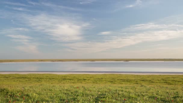 Die Bewegung der Wolken über den Winterweizenfeldern im zeitigen Frühling in den weiten Steppen des Don. — Stockvideo