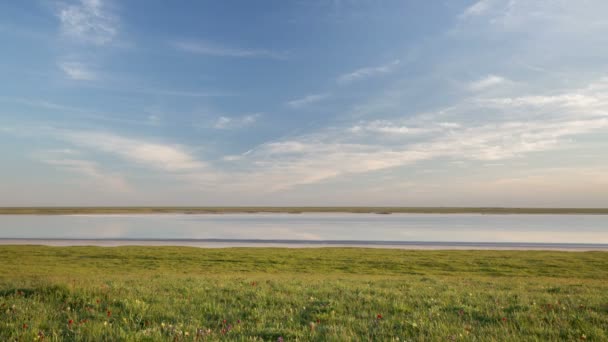 El movimiento de las nubes sobre los campos de trigo de invierno a principios de primavera en las vastas estepas del Don . — Vídeos de Stock