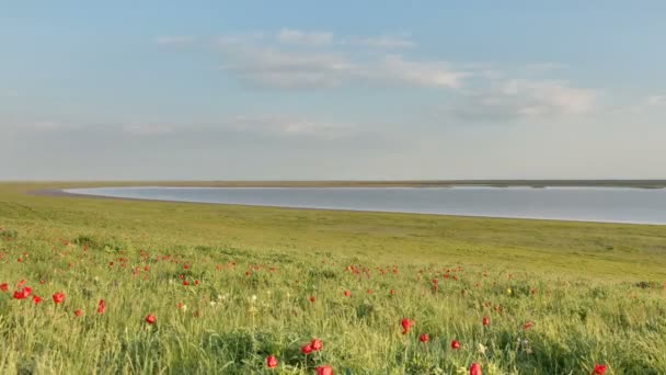 El movimiento de las nubes sobre los campos de trigo de invierno a principios de primavera en las vastas estepas del Don . — Vídeos de Stock