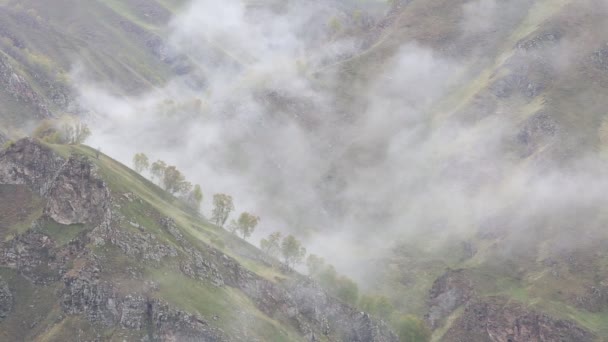 La Russie. Au début du printemps, l'épais voile de brume et de nuages qui remonte les pentes escarpées des sommets du Caucase central . — Video