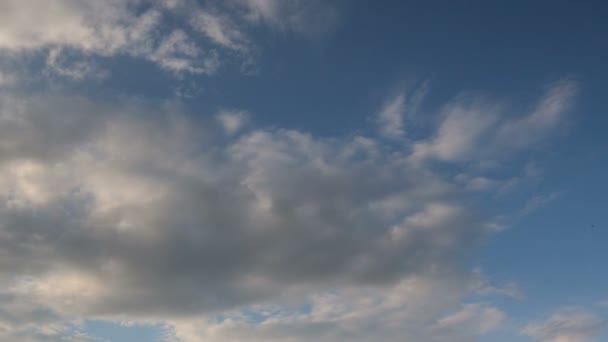 Il movimento delle nuvole sui campi di grano invernale all'inizio della primavera nelle vaste steppe del Don . — Video Stock