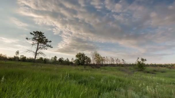 Förflyttning av moln över fälten i höstvete tidigt på våren i de stora stäpperna i Don. — Stockvideo