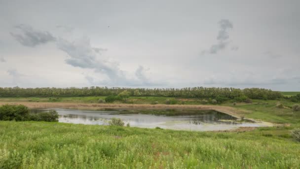 Le mouvement des nuages d'orage sur les champs de blé d'hiver au début du printemps dans les vastes steppes du Don . — Video
