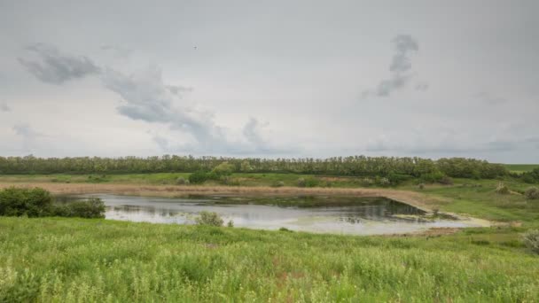 El movimiento de las nubes de trueno sobre los campos de trigo de invierno a principios de primavera en las vastas estepas del Don . — Vídeos de Stock