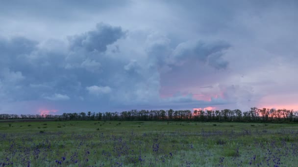 El movimiento de las nubes de trueno sobre los campos de trigo de invierno a principios de primavera en las vastas estepas del Don . — Vídeos de Stock