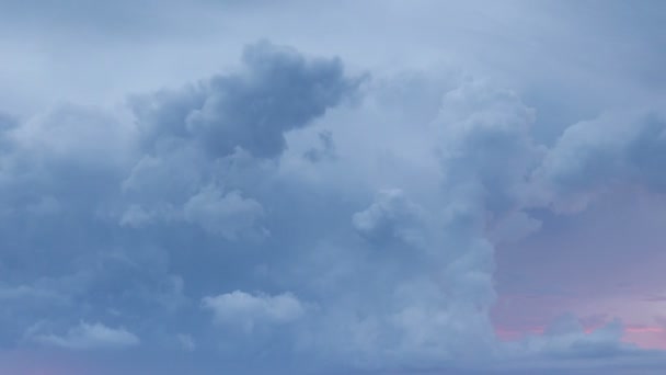 El movimiento de las nubes de trueno sobre los campos de trigo de invierno a principios de primavera en las vastas estepas del Don . — Vídeos de Stock