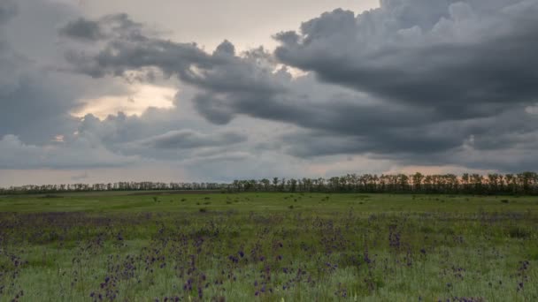 The movement of the thunderclouds over the fields of winter wheat in early spring in the vast steppes of the Don. — Stock Video