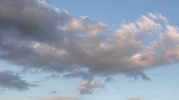 De vorming en verplaatsing van wolken boven zomer eindeloze groene weiden van gras in de steppen van de Don. — Stockvideo