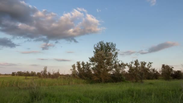 The formation and movement of clouds over summer endless green fields of grass in the steppes of the Don. — Stock Video