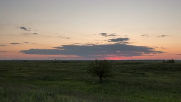La formation et le déplacement de nuages sur des champs verts d'herbe sans fin en été dans les steppes du Don . — Video