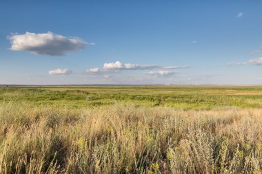 Bulutlar üzerinde çayır çimen