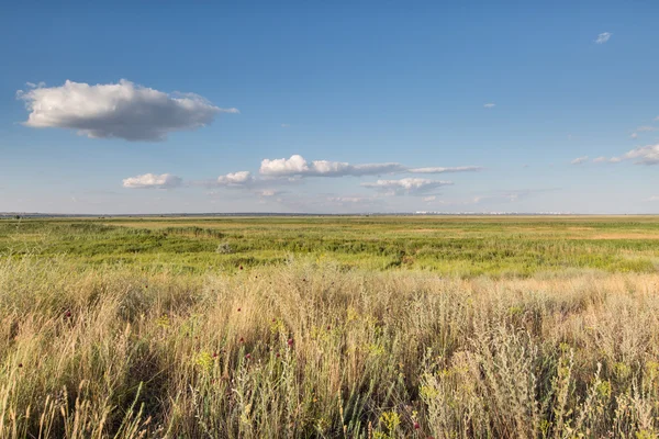 Clouds over the prairie grasses — Stock Photo, Image