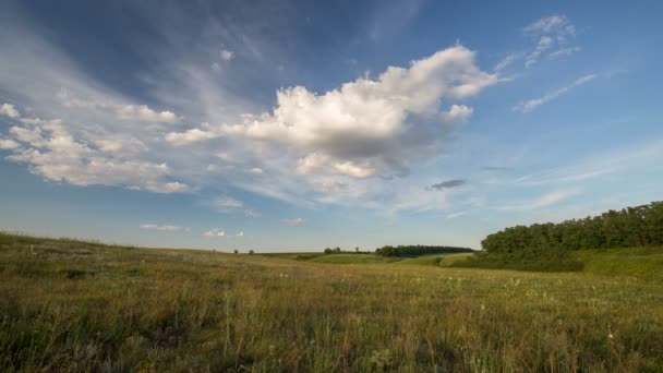 Russie, chronométrage. La formation et le déplacement de nuages sur des champs verts d'herbe sans fin en été dans les steppes du Don . — Video