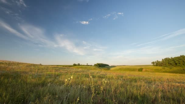 Russia, timelapse. The formation and movement of clouds over summer endless green fields of grass in the steppes of the Don. — Stock Video