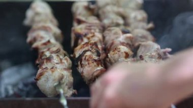 Hazırlanması üzerinde piknik için açık havada ateş et kavrulmuş ve rahatla.