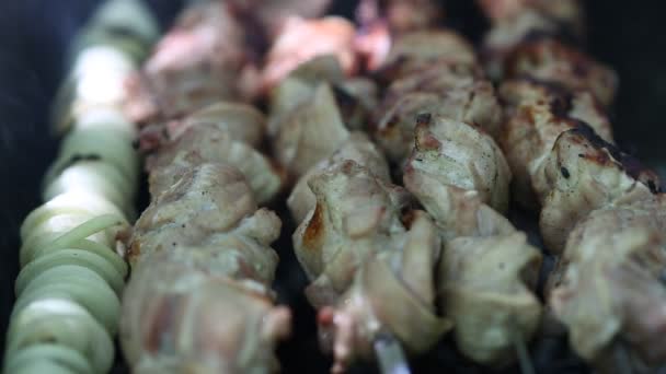 Preparación de carne asada en el fuego al aire libre para un picnic y relajarse . — Vídeos de Stock