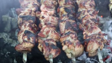 Hazırlanması üzerinde piknik için açık havada ateş et kavrulmuş ve rahatla.