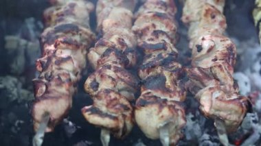 Hazırlanması üzerinde piknik için açık havada ateş et kavrulmuş ve rahatla.