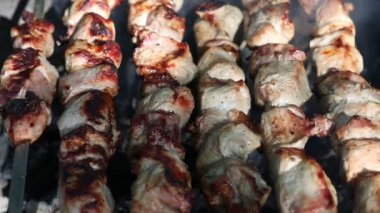 Hazırlanması üzerinde piknik için açık havada ateş et kavrulmuş ve rahatla.