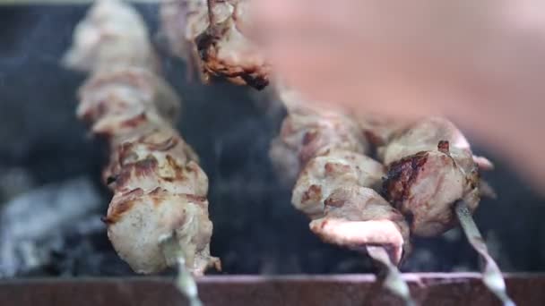 Zubereitung von gebratenem Fleisch im Freien für ein Picknick und Entspannung. — Stockvideo
