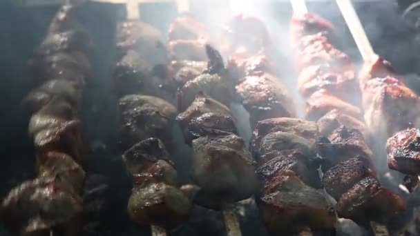 Preparación de carne asada en el fuego al aire libre para un picnic y relajarse . — Vídeos de Stock