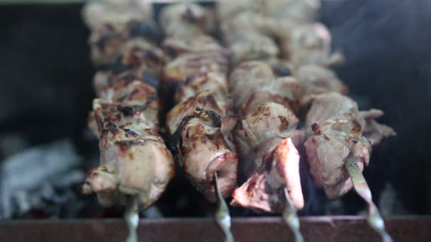 Preparazione di carne arrosto sul fuoco all'aperto per un picnic e rilassarsi . — Video Stock