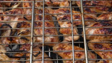 Hazırlanması üzerinde piknik için açık havada ateş et kavrulmuş ve rahatla.