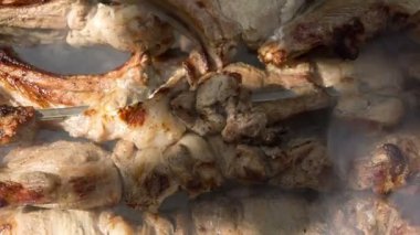 Hazırlanması üzerinde piknik için açık havada ateş et kavrulmuş ve rahatla.