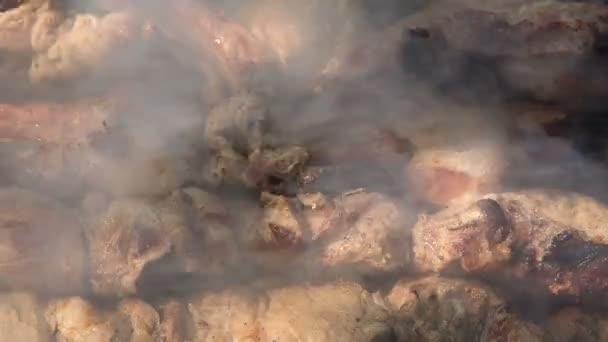 Preparación de carne asada en el fuego al aire libre para un picnic y relajarse . — Vídeo de stock