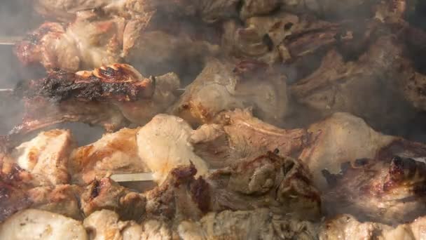 Preparation of roasted meat on the fire outdoors for a picnic and relax. — Stock Video