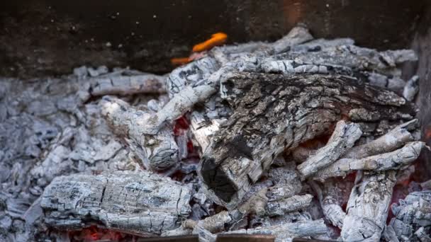 Preparação de carne assada no fogo ao ar livre para um piquenique e relaxe . — Vídeo de Stock