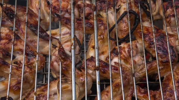 Προετοιμασία του ψητό κρέας στη φωτιά σε εξωτερικούς χώρους για πικ-νικ και να χαλαρώσετε. — Αρχείο Βίντεο