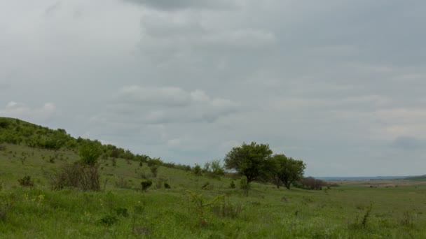 La formation et les mouvements des nuages jusqu'aux pentes abruptes des montagnes du Caucase central sommets . — Video