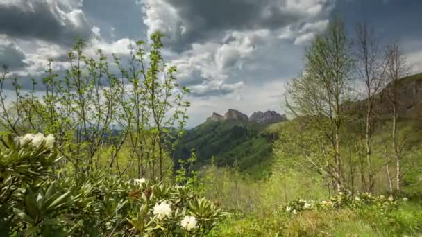 Tvorba a pohyb mraků nad letními svahy Adygea Bolshoy Thach a Kavkazu — Stock video