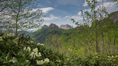 Adygea Bolşoy Thach ve Kafkasya Dağları 'nın yaz yamaçlarında bulutların oluşumu ve hareketi