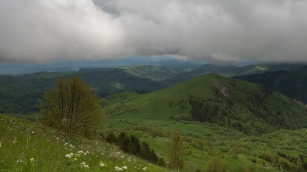 Die Bildung und Bewegung von Wolken über den Sommerhängen von Adygea Bolschoi Thach und dem Kaukasus-Gebirge — Stockvideo