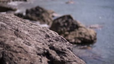 Karadeniz kıyısında Denizi'nin kristal berraklığında su