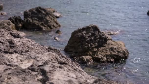 Krystalicznie czyste wody morza na wybrzeżu Morza Czarnego — Wideo stockowe